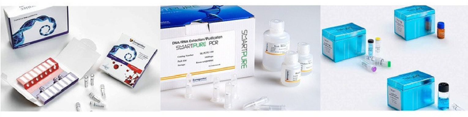 Molecular Biology Reagents & PCR Solutions