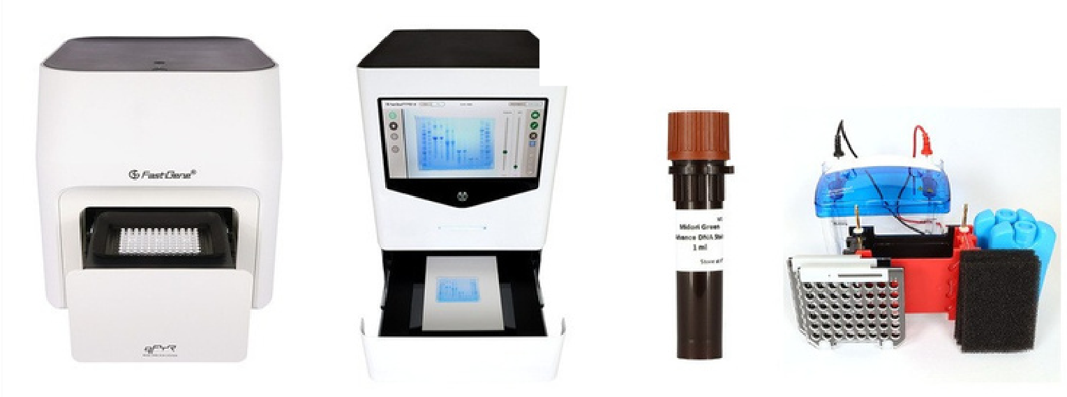 FastGene Electrophoresis & qPCR Systems
